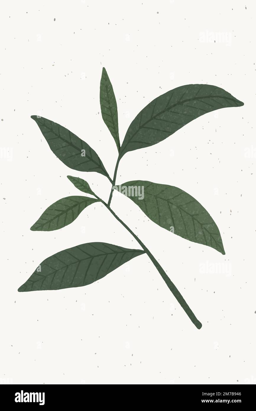 Zweig mit grünen Blättern Design-Element Stock Vektor