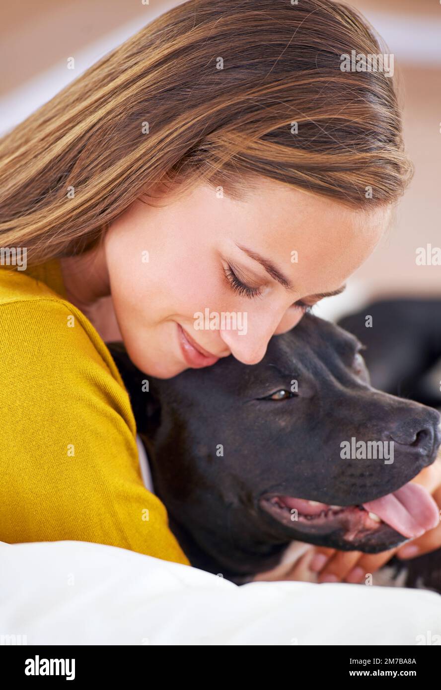 Er ist mein Lieblingstyp. Eine attraktive junge Frau, die mit ihrem Hund auf dem Sofa kuschelt. Stockfoto
