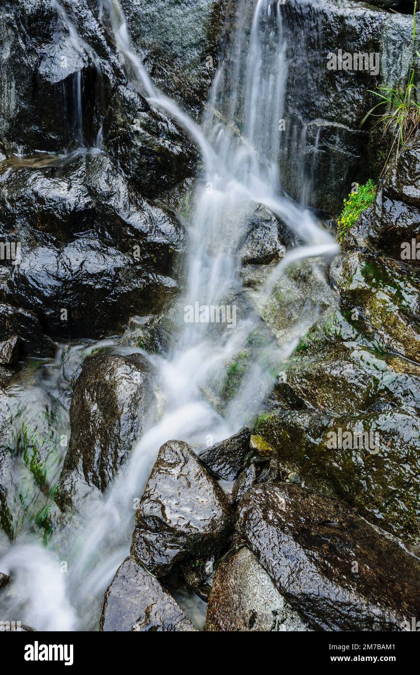 Torrente de Les Laquettes, Parque Natural de Neouvielle, Pirineo francés, Bigorre, Francia. Stockfoto