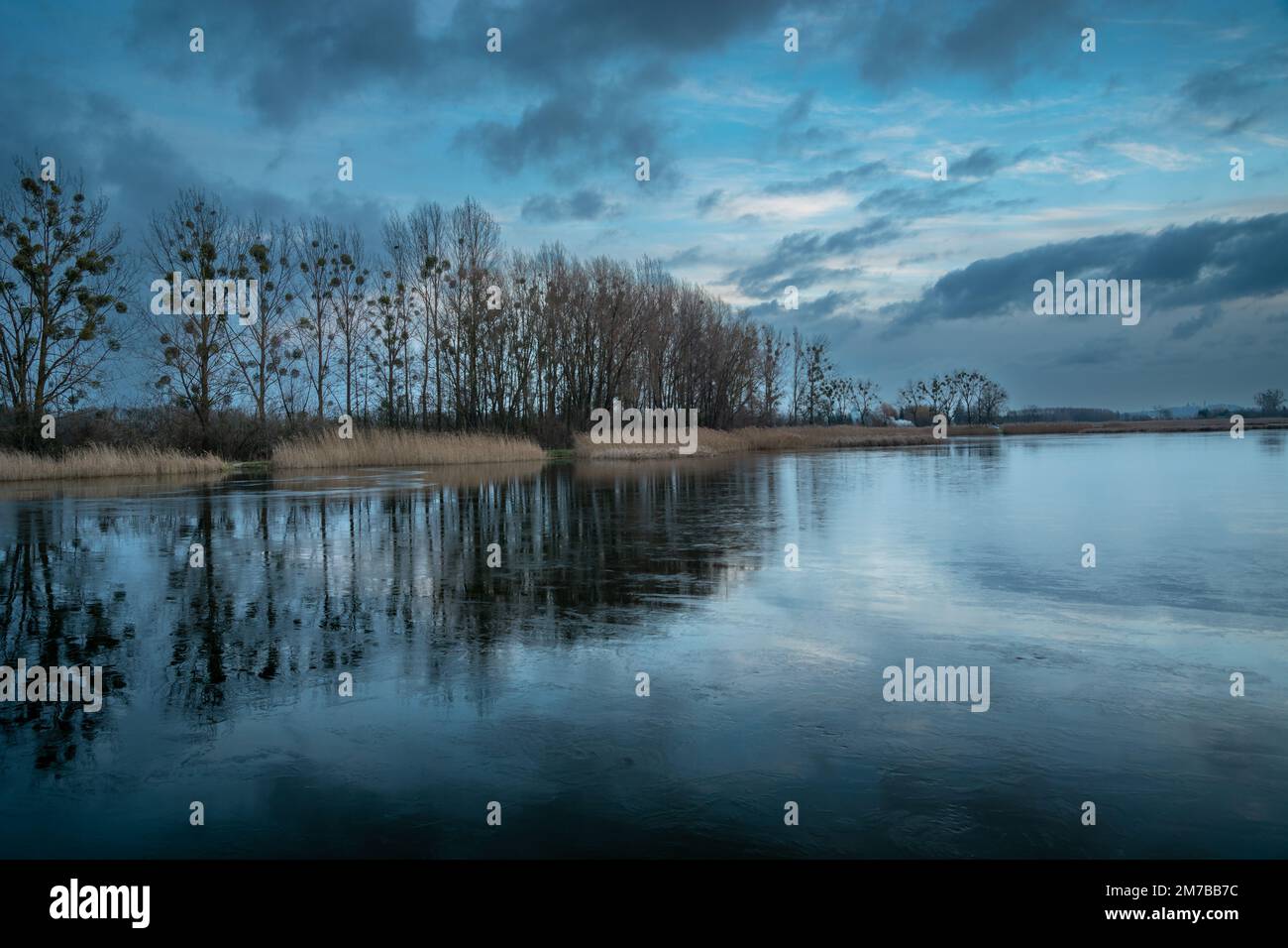 Bewölkter, regnerischer Abendhimmel und Bäume, die sich in einem gefrorenen See in Stankow, Polen spiegeln Stockfoto