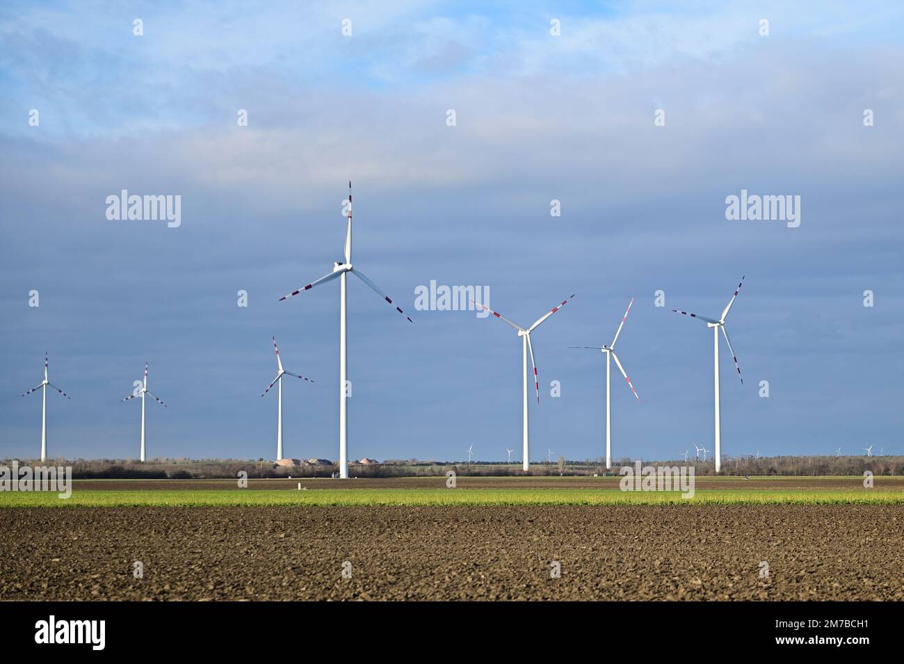 Niederösterreich, Österreich. Windturbinen in Marchfeld in Niederösterreich Stockfoto