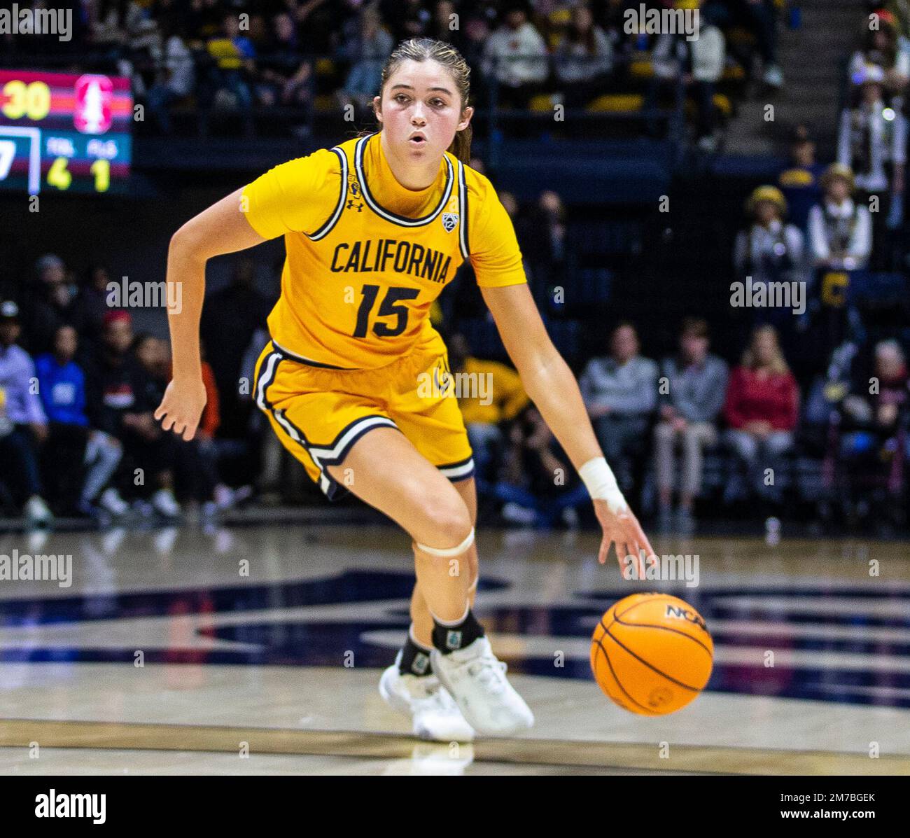 Haas Pavilion Berkeley Calif, USA. 08. Januar 2023. CA U.S.A. Der kalifornische Wachmann Kemery Martin (15) geht beim NCAA Women's Basketball zwischen Stanford Cardinal und den California Golden Bears auf den Basketball. Stanford besiegte California 60-56 im Haas Pavilion Berkeley Calif Thurman James/CSM/Alamy Live News Stockfoto