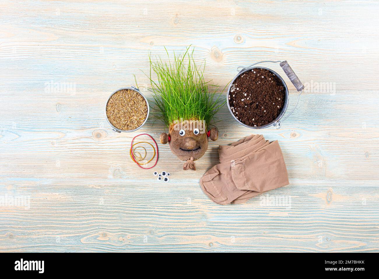 Herstellung eines niedlichen hausgemachten Graskopfspielzeugs mit verschiedenen Zubehörteilen. Grassamen, Strumpfhosen, Augen, Gummiband und Erde. Viel Platz auf Blau. Stockfoto