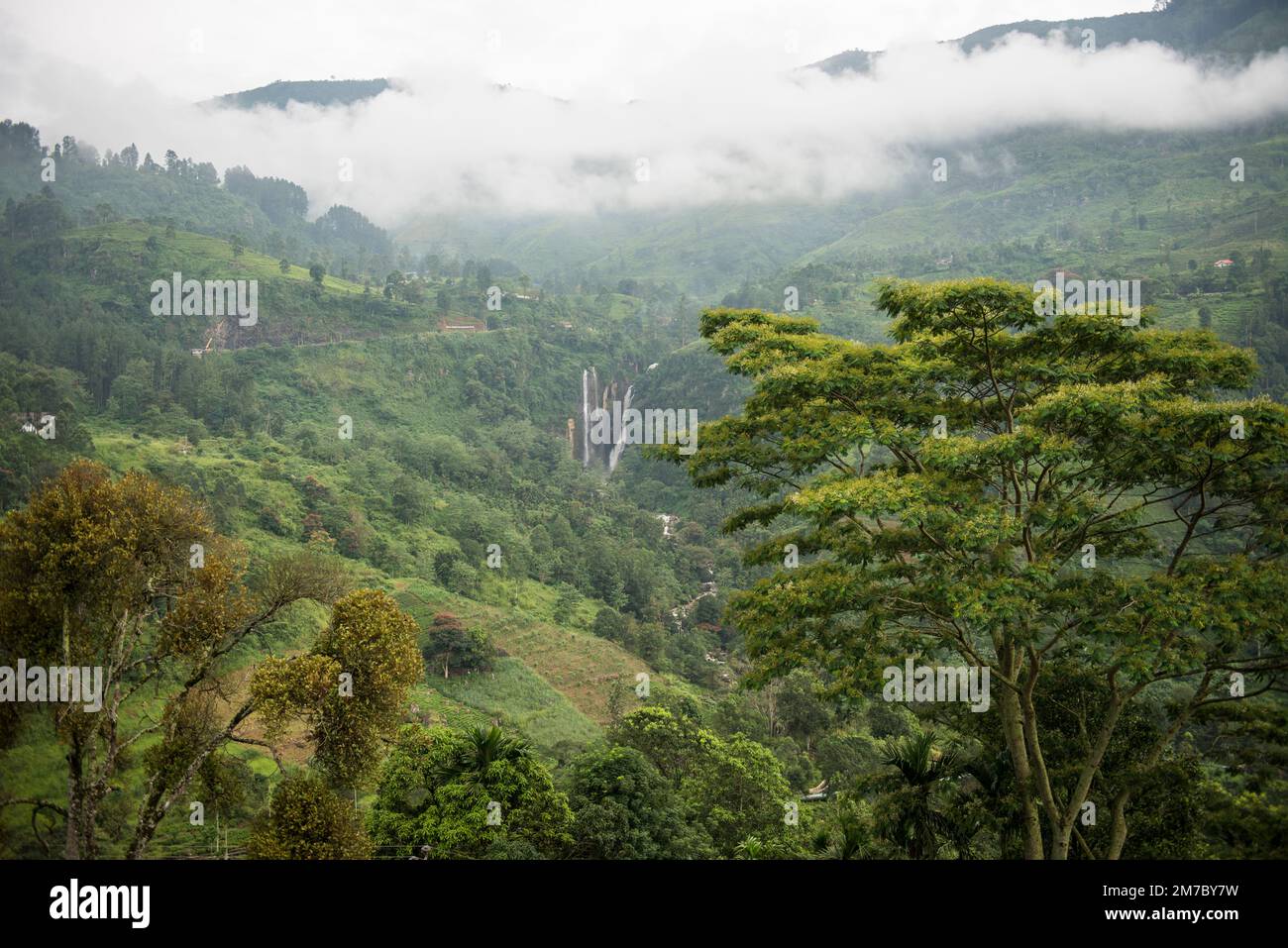 Hill Country und Teeanbaugebiet, Sri Lanka Stockfoto