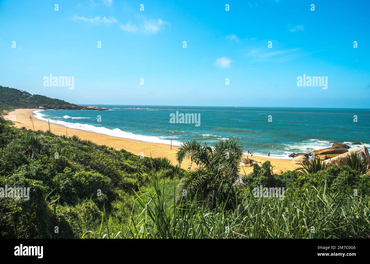 Wüstenstrand. Tropisches Paradies Stockfoto