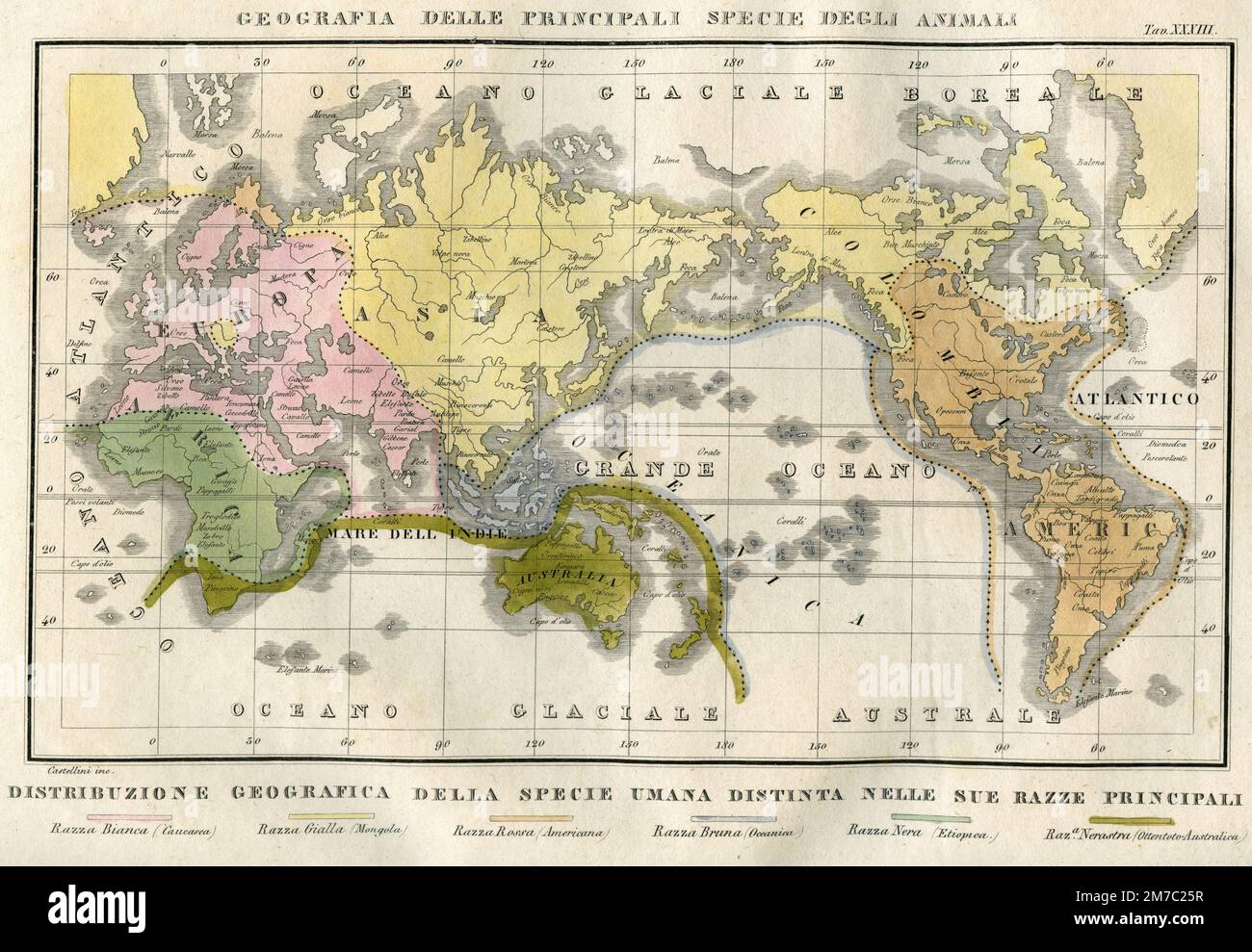 Karte der geografischen Verteilung der menschlichen Arten, unterteilt in ihre Hauptrassen, Marmocchi Atlas, Florenz, Italien 1838 Stockfoto