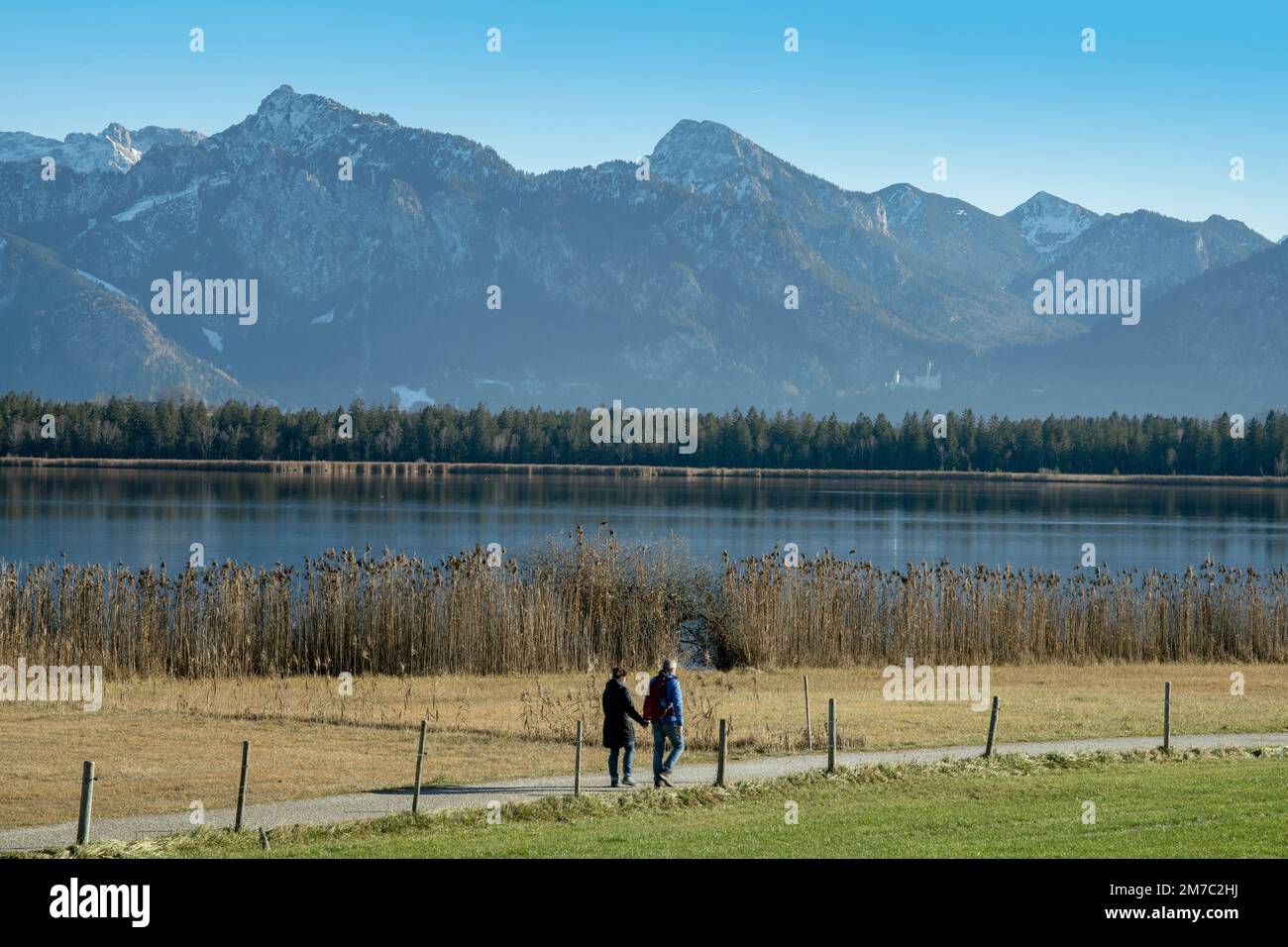 Kinderwagen am Hopfen-See, Schloss Neuschwanstein und die Ammergaualpen im Hintergrund, Deutschland, Bayern, Oberbayern, Oberbayern, Ostallgaeu Stockfoto