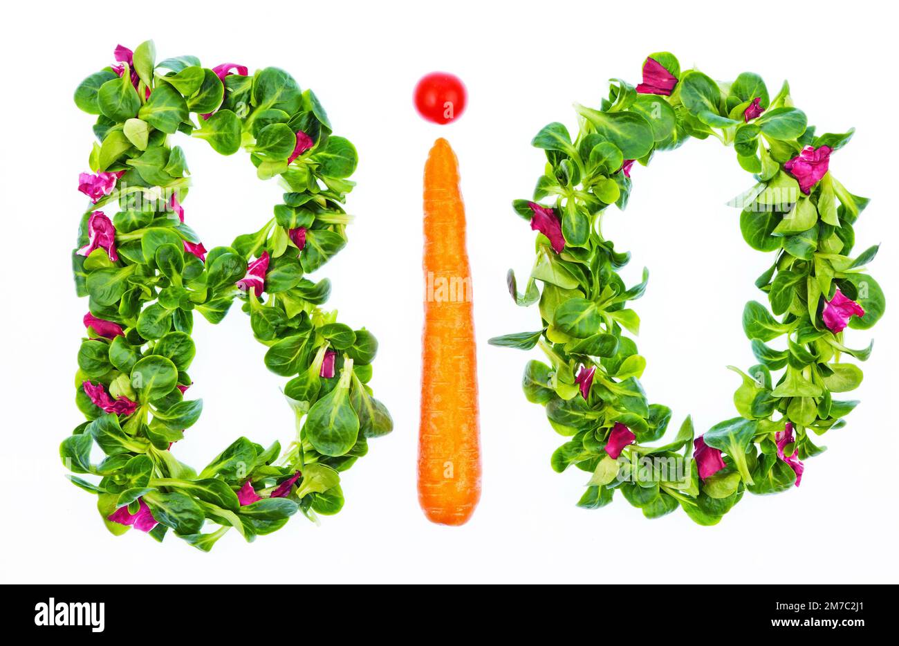 Das Wort Bio aus Gemüse Stockfoto