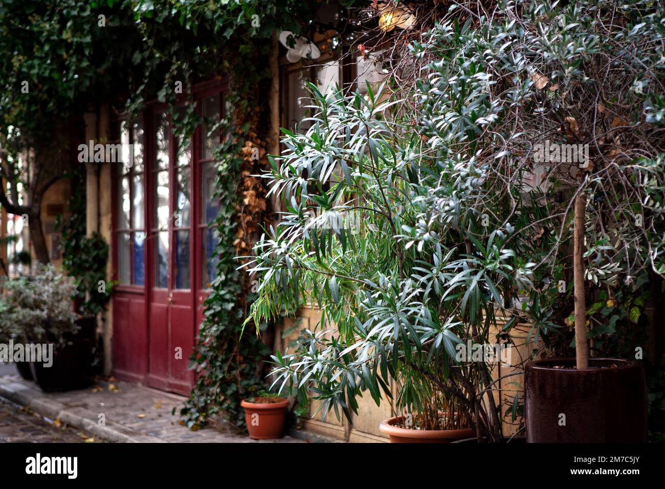 Fassade eines alten Ladens in einer Passage in Paris Stockfoto