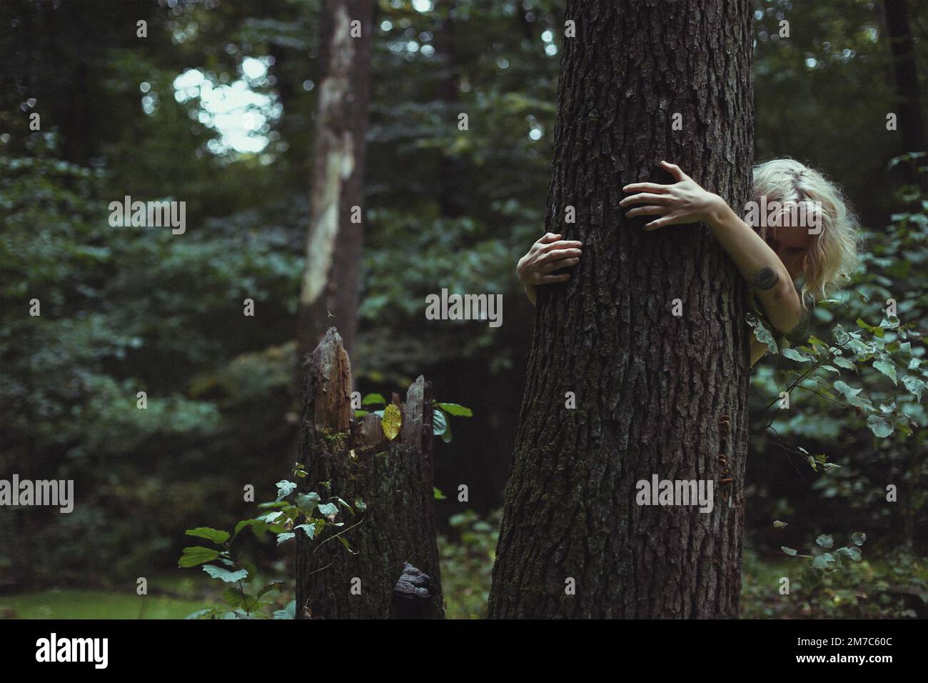 Eine blonde Frau, die sich hinter alten Bäumen versteckt Stockfoto