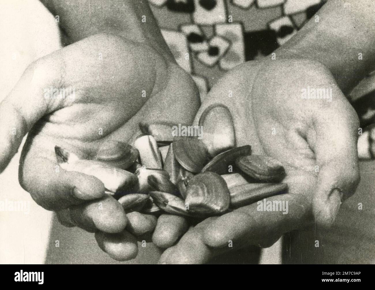 Muscheln in den Händen, 1970er Stockfoto