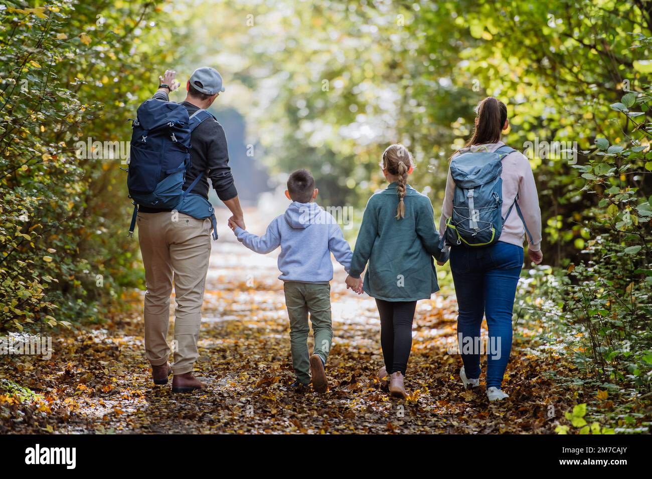 Rückblick auf eine Familie mit Kindern, die im Wald spazieren gehen. Stockfoto