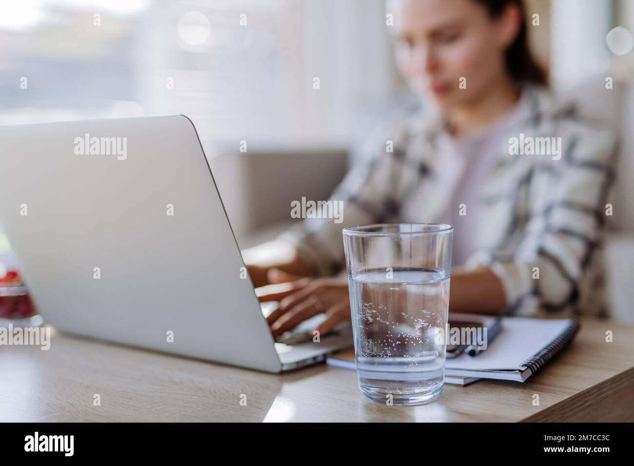 Junge Frau, die Hausaufgaben in ihrer Wohnung hat. Stockfoto