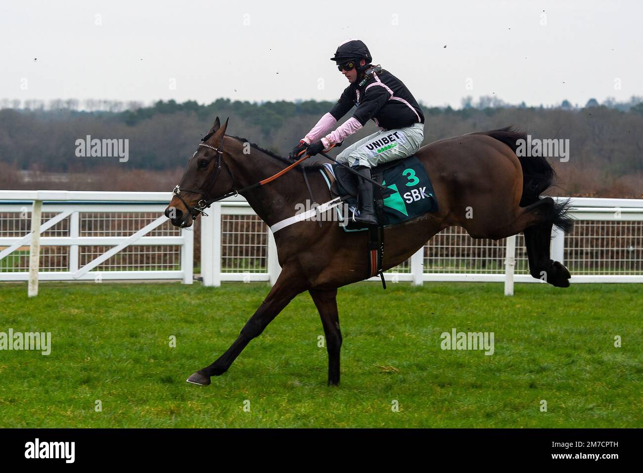 Ascot, Berkshire, Großbritannien. 22. Januar 2022. Horse Fils D'Oudairies, geritten vom Jockey Nico de Boinville, überwindet eine Hürde im Handicap Hürdenrennen des SBK Holloway (Klasse 2). Kredit: Maureen McLean/Alamy Stockfoto