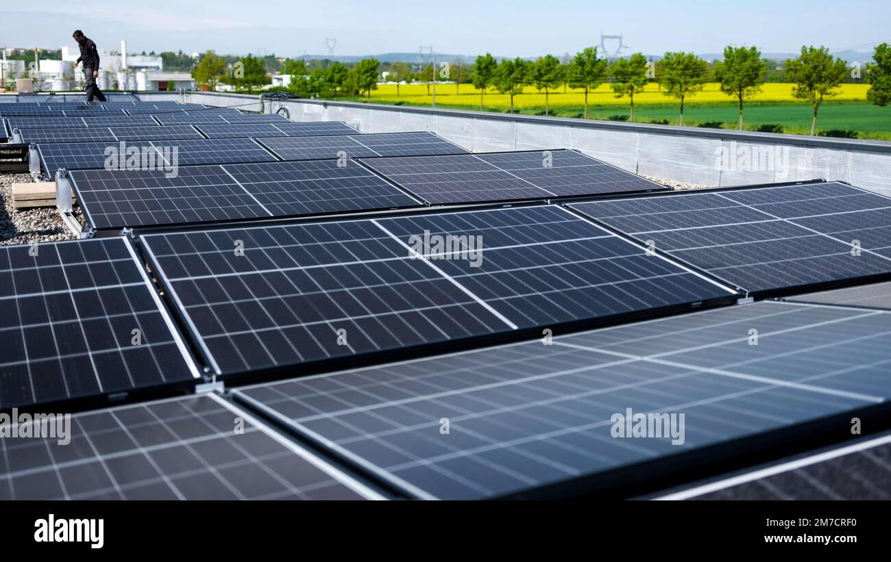 Männliche Teamingenieure, die eigenständige Solarpaneele installieren. Elektriker montieren blaues Solarmodul auf dem Dach des Unternehmens. Alternati Stockfoto