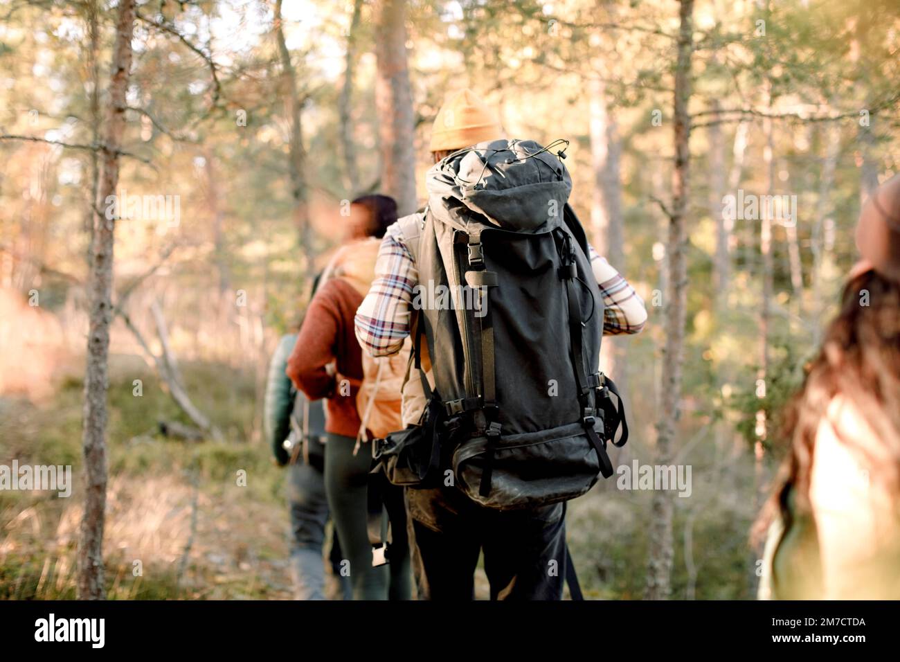 Rückansicht eines Mannes, der mit Freunden wandert, während er im Wald wandert Stockfoto