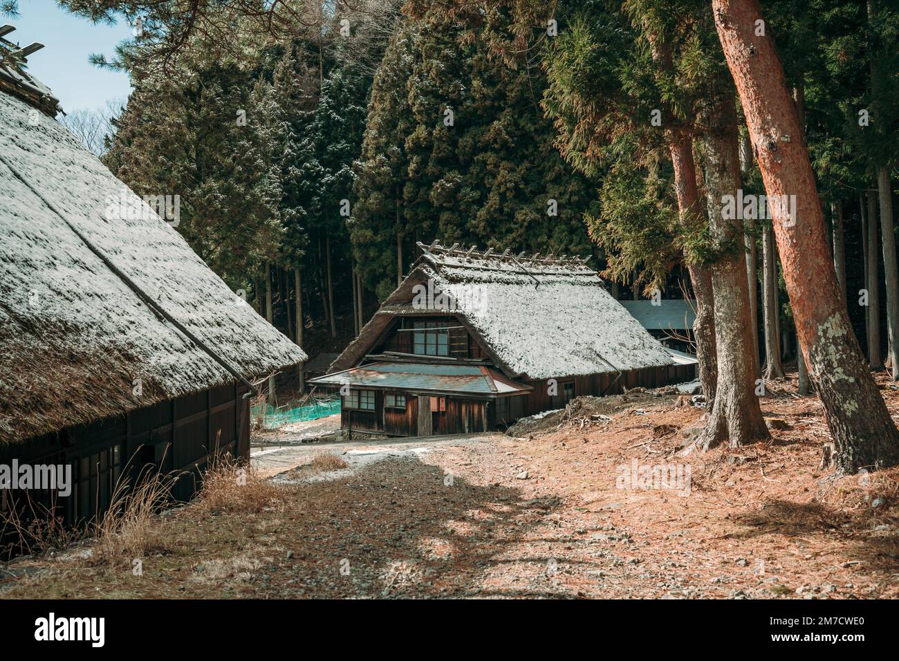 Traditionelles Holzhaus, umgeben von Wäldern Stockfoto