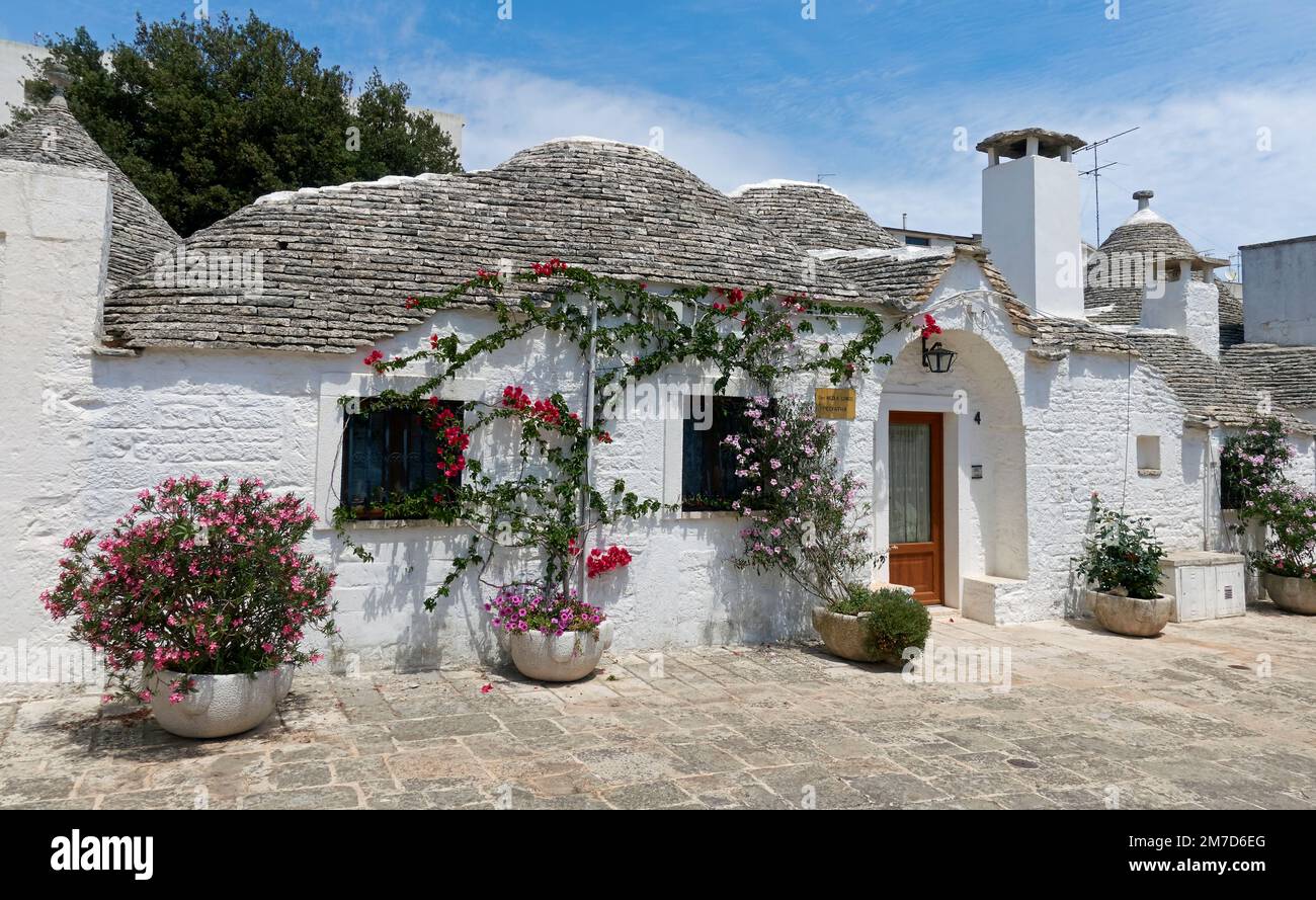 Ein Bungalow im Stil eines Trullo (traditionelles Trockensteingebäude mit konischem Dach) in Alberobello, Apulien (Apulien), Süditalien. Stockfoto