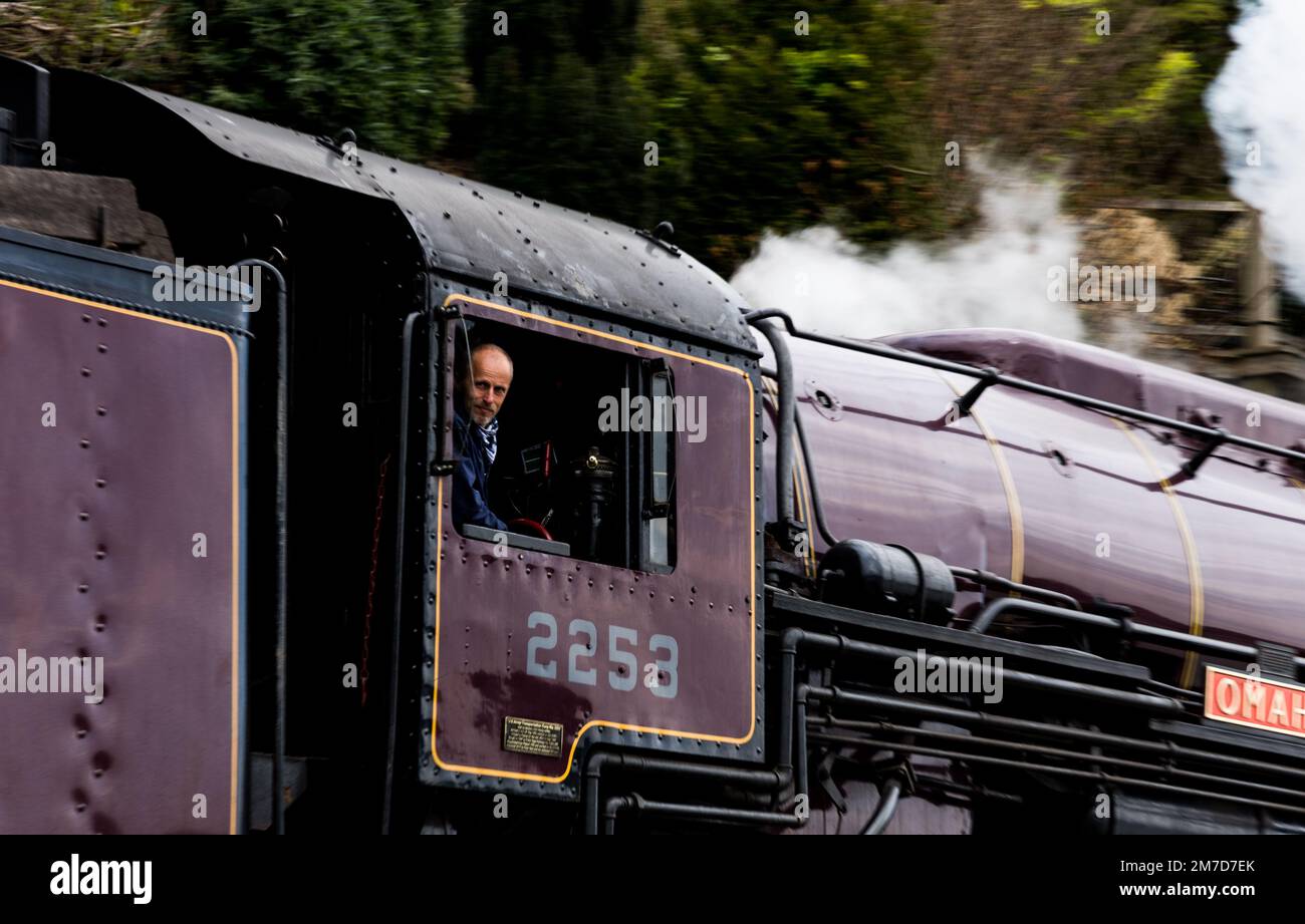 Live-Dampf auf der Dart Valley Railway mit Motorenfahrer Stockfoto