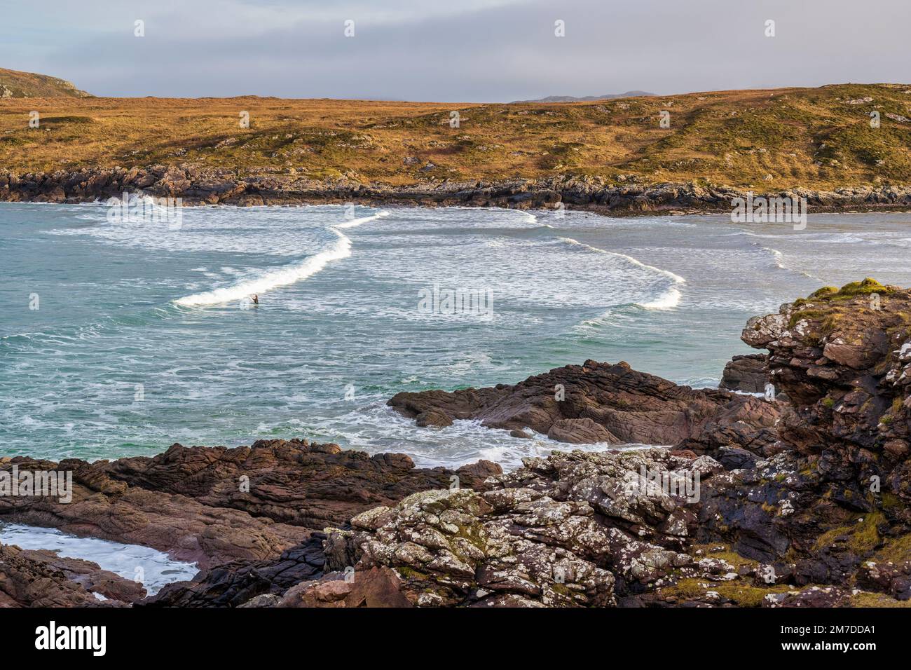 Ein einsamer Surfer trotzt den kalten Wellen im Dezember in der Achnahaird Bay auf der Halbinsel Coigach in Wester Ross, Highland, Schottland, Großbritannien Stockfoto