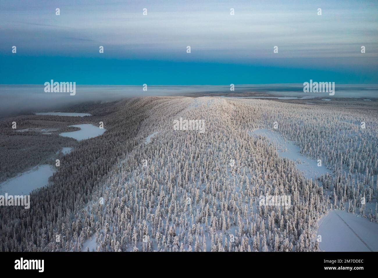 Luftaufnahme eines gefrorenen verschneiten Waldes im Winter, Oulanka-Nationalpark, Ruka Kuusamo, Lappland, Finnland Stockfoto