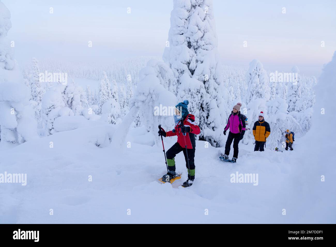 Glückliche Familie mit zwei Jungen, die mit Schneeschuhen in der Winterlandschaft wandern, Oulanka National Park, Ruka Kuusamo, Lappland, Finnland Stockfoto