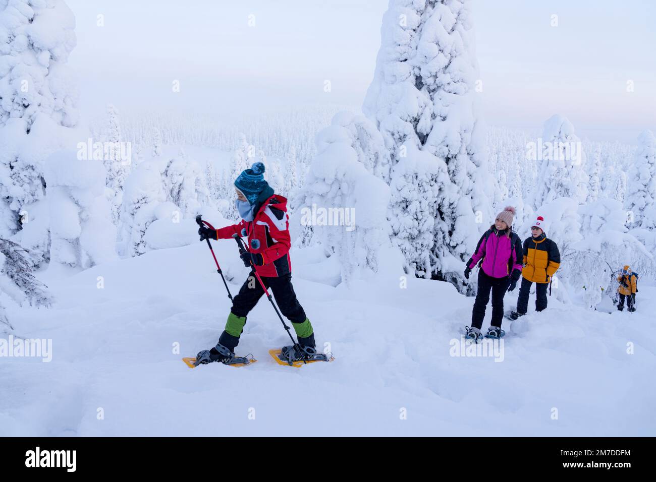 Eine Schneeschuhwanderung mit der Familie auf einem Winterpfad im gefrorenen Wald, Oulanka-Nationalpark, Ruka Kuusamo, Lappland, Finnland Stockfoto