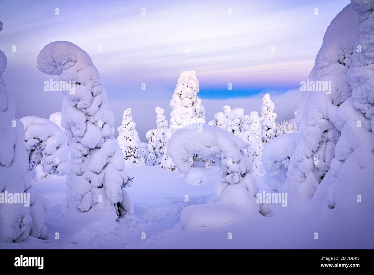 Eisskulpturen in der verschneiten arktischen Landschaft, Oulanka-Nationalpark, Ruka Kuusamo, Lappland, Finnland Stockfoto