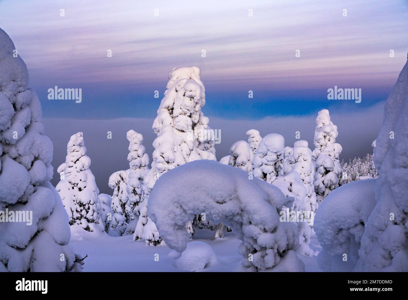 Dramatischer Himmel bei Sonnenuntergang über den Eisskulpturen im finnischen Lappland Stockfoto
