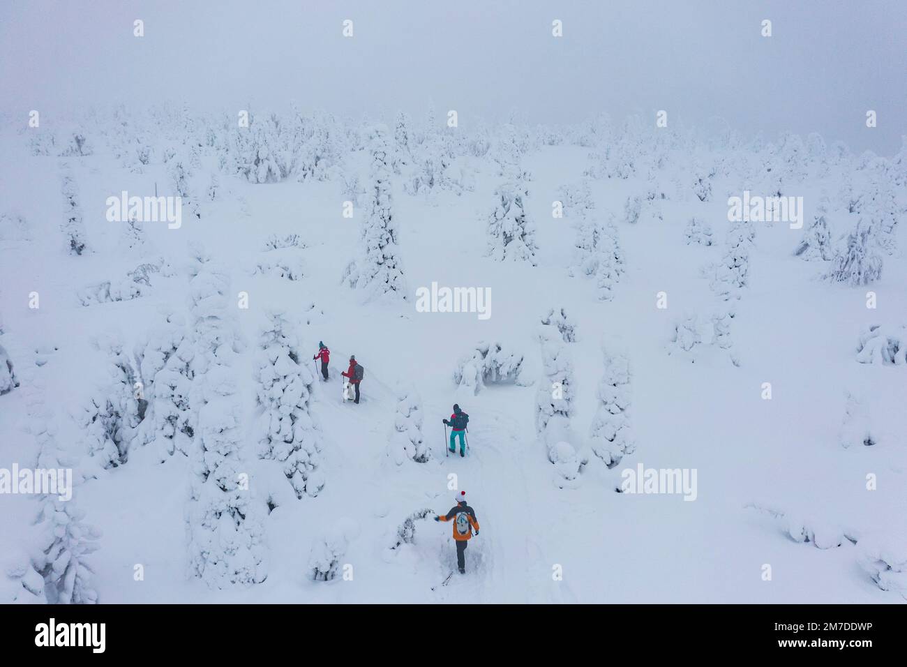 Familienspaziergang im Nebel auf einem Winterpfad in der verschneiten Landschaft des finnischen Lapplands, Blick von oben Stockfoto