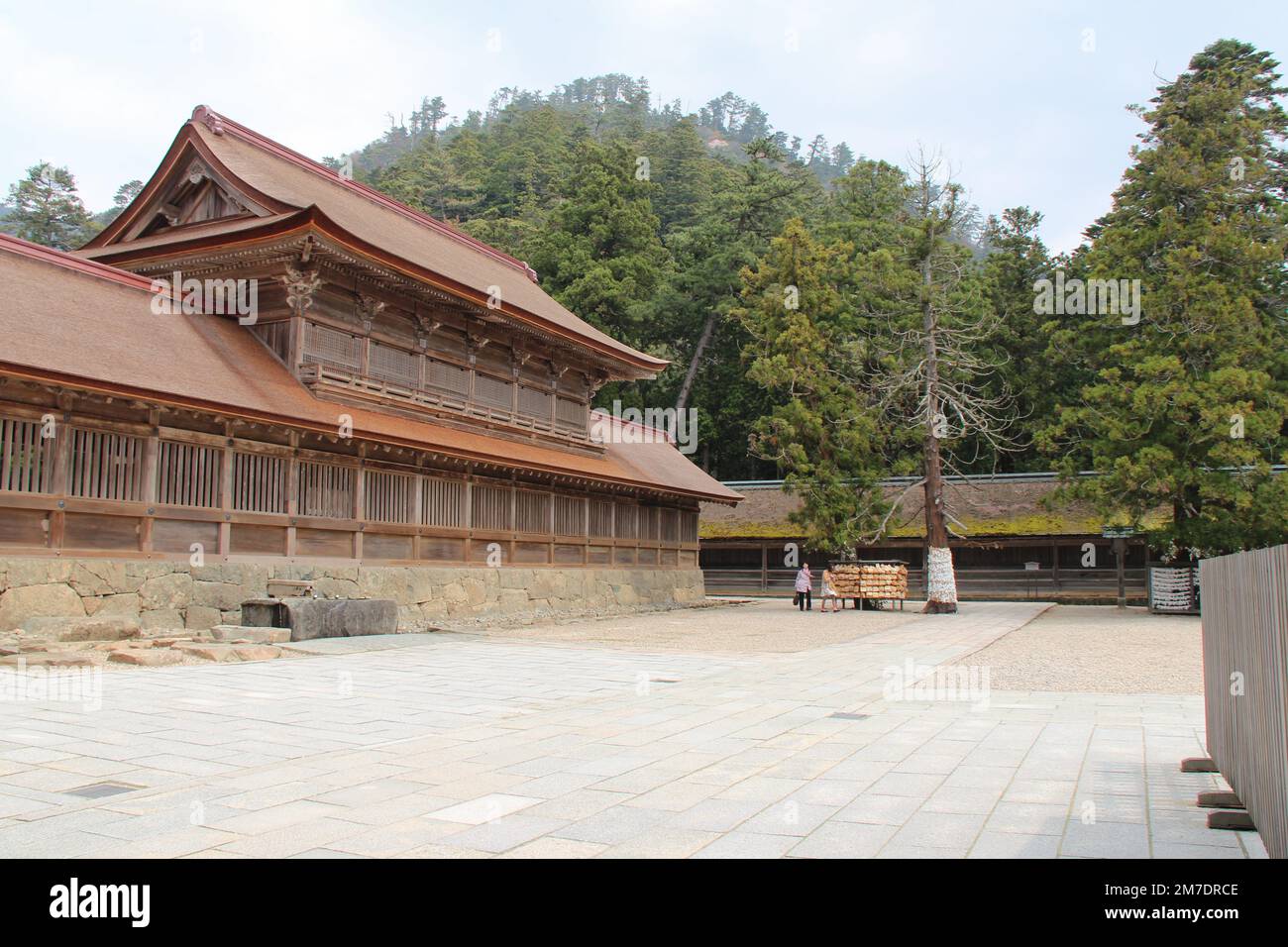 schintoistischer Schrein (izumo-taisha) in izumo in japan Stockfoto