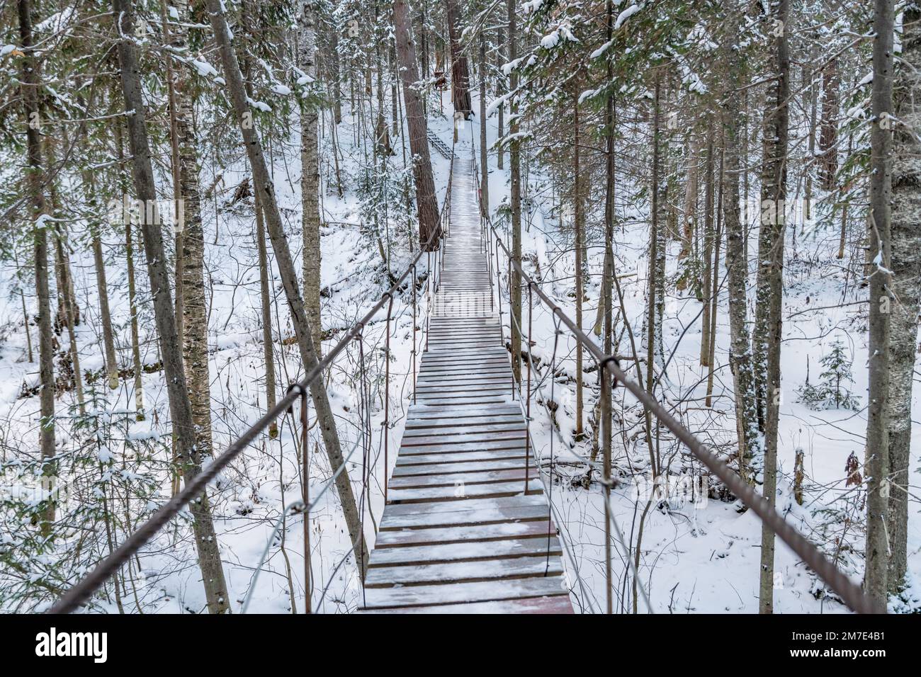 Wunderschöne, an einem Seil hängende Holzbrücke. Winterlandschaft, schneebedeckter Wald. Perspektive, Symmetrie Stockfoto