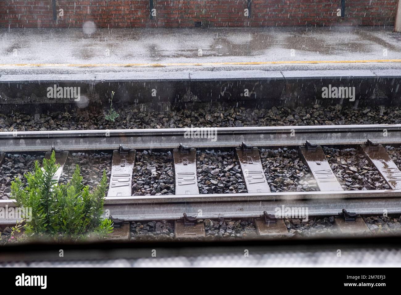 Aus einem Wagenfenster auf die nasse Strecke und Plattform blicken, während die Abfahrten weiter fallen. Stockfoto