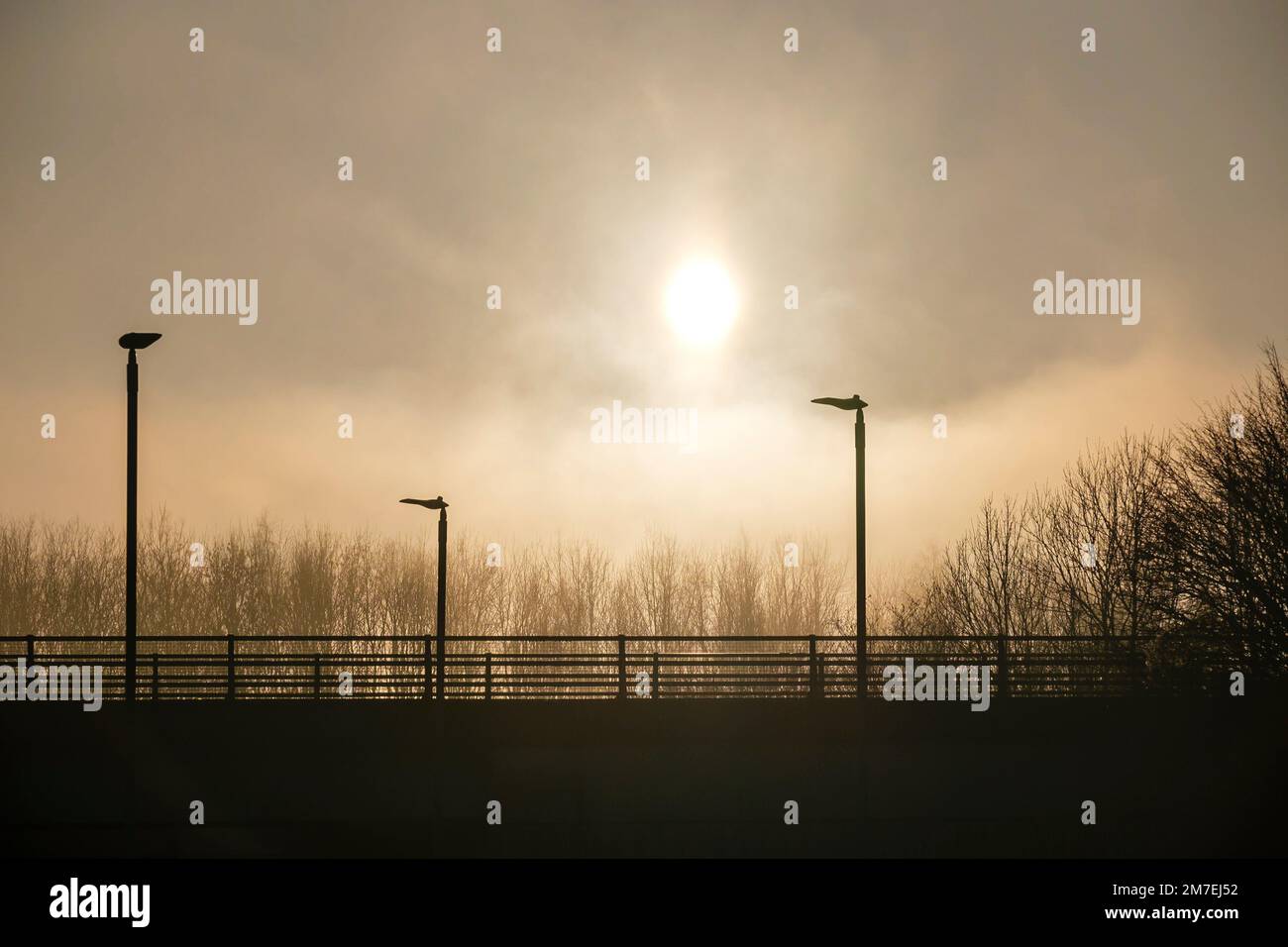Lastkraftwagen, die eine Brücke im britischen Straßennetz überqueren und für den Transport von Gütern und Logistik im ganzen Land eingesetzt werden. Stockfoto