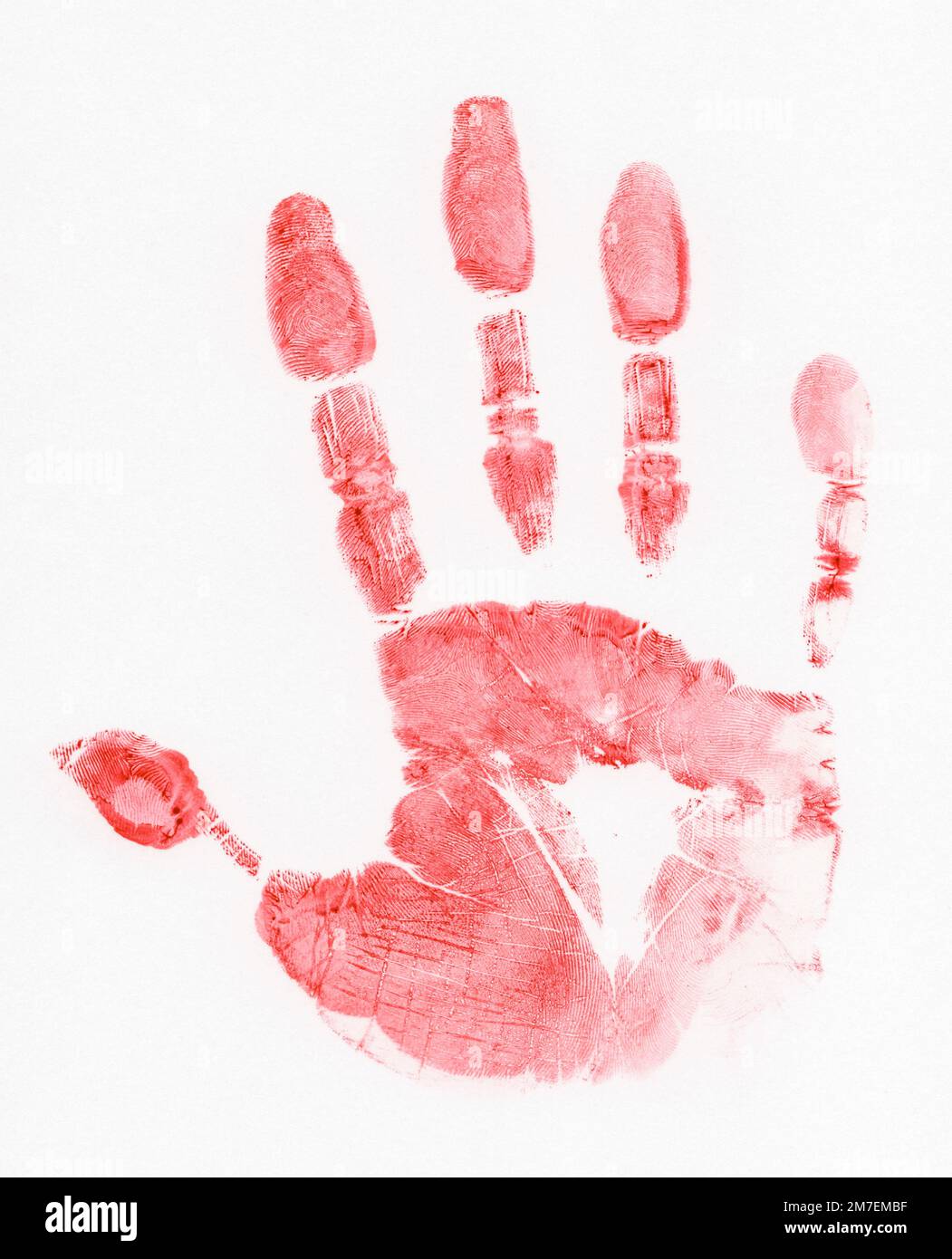 Der Abdruck einer rechten Hand in Rot, möglicherweise Blut, auf weißem Hintergrund, zeigt Handabdrücke und Fingerabdrücke. Stockfoto