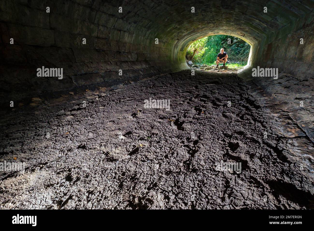 Kemble, Cirencester, Großbritannien. Das ausgetrocknete Beet der Themse in Kemble in Gloucestershire. Die Quelle des Flusses hat sich während des anhaltend trockenen Wetters von seinem offiziellen Startpunkt außerhalb von Cirencester verschoben und liegt jetzt mehr als 4km km stromabwärts. Stockfoto