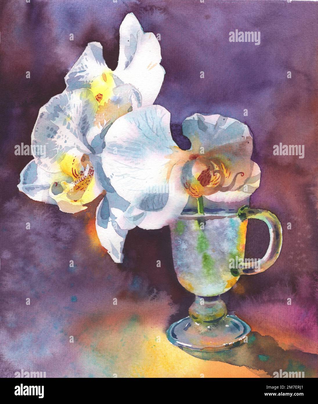 Orchideen mit tropischem Blumenmotiv. Stockfoto