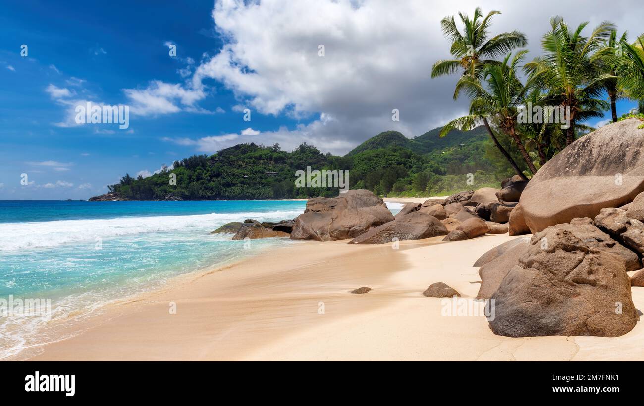 Seychellen-Strand. Exotischer tropischer Strand mit wunderschönen Felsen, Palmen und türkisfarbenem Meer. Stockfoto