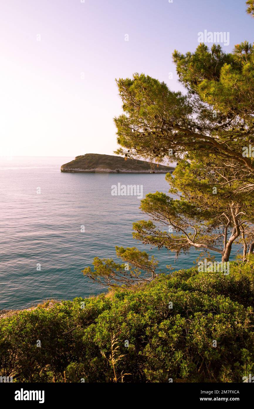 Blick auf die kleine Insel Campi von der Küstenstraße von Vieste nach Mattinata im Gargano-Nationalpark, Apulien, Italien Stockfoto