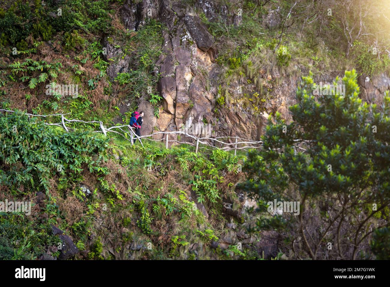 Frau mit einem großen Rucksack, die auf einem Wanderweg auf der Insel São Jorge auf den Azoren spaziert Stockfoto