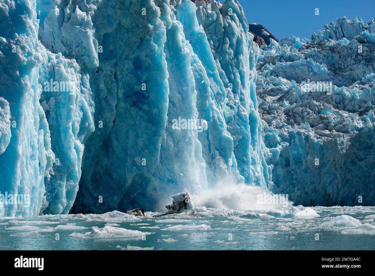 USA, SE Alaska, Inside Passage, Fords Terror Wilderness, Tracy Arm, South Sawyer-Gletscher. Gletschergesicht kalbt. Stockfoto