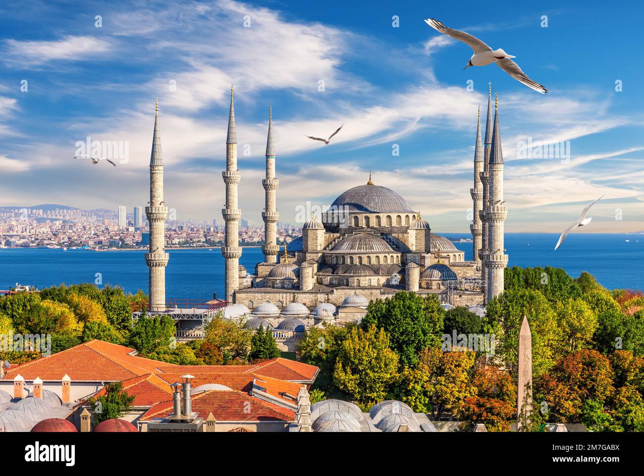 Die Blaue Moschee von Istanbul, Sultan Ahmet Moschee, wunderschöne Aussicht Stockfoto