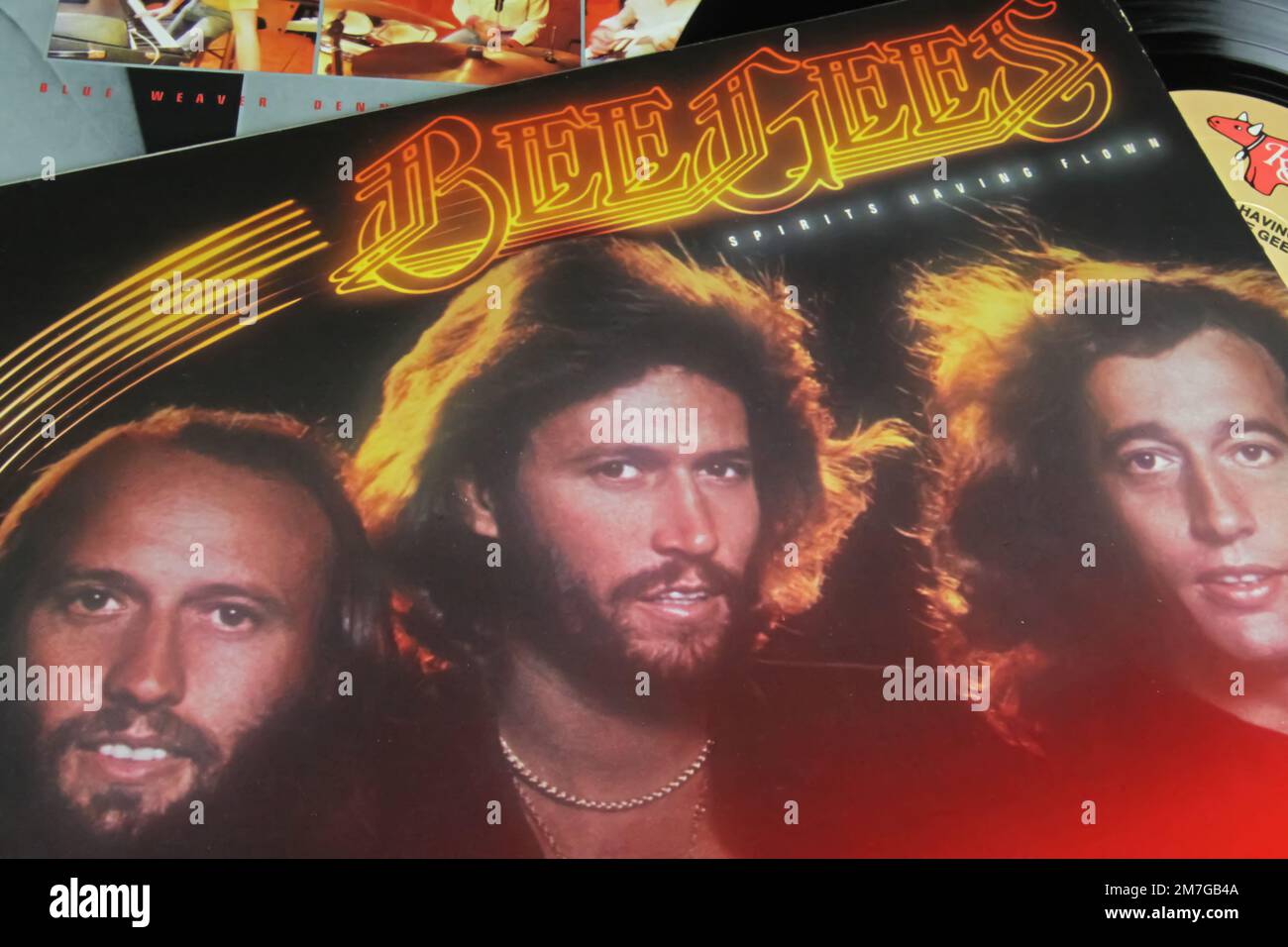 Viersen, Deutschland - November 9. 2022: Zusammenfassung des beliebtesten Hit-Albums „Spirits Having Flown of Bee Gees Band“ aus isolierter Vinylplatte, veröffentlicht 1979 Stockfoto
