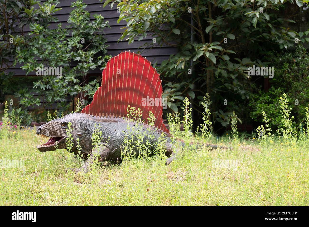 Dimetrodon Dinosaur in einer grünen natürlichen Umgebung. Stockfoto