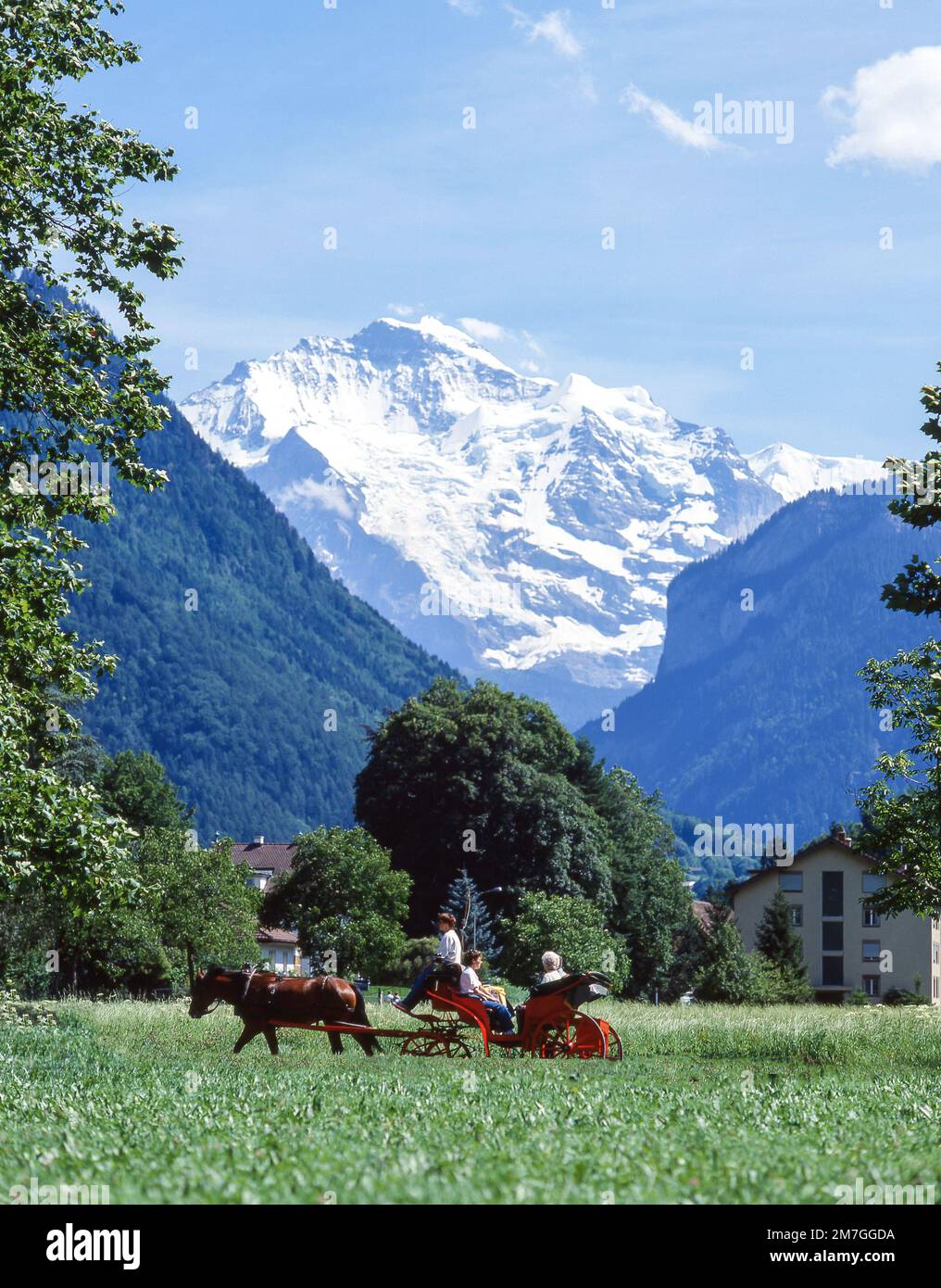 Pferdewagen schnee -Fotos und -Bildmaterial in hoher Auflösung – Alamy