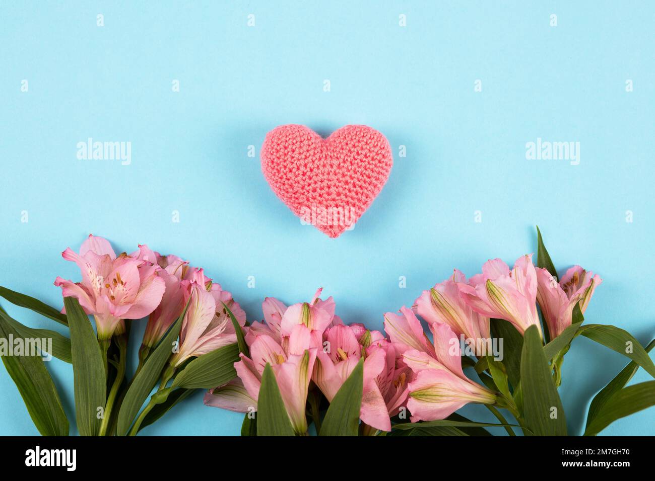 Sanfte lila Blumen Alstroemeria mit einem gestrickten rosa Herz auf blauem Hintergrund für Valentinstag-Grüße, Geschenkkarte Stockfoto