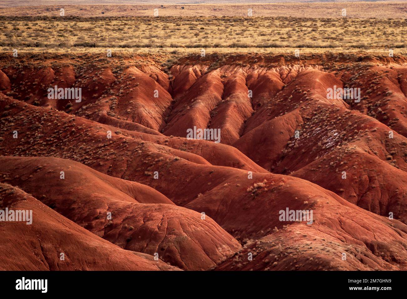 Petrified Forest Nationalpark Stockfoto