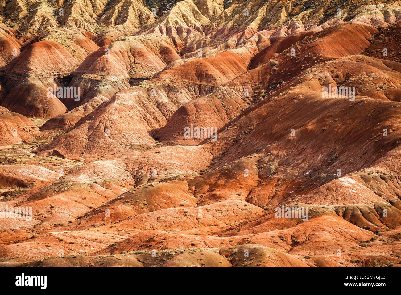 Petrified Forest Nationalpark Stockfoto