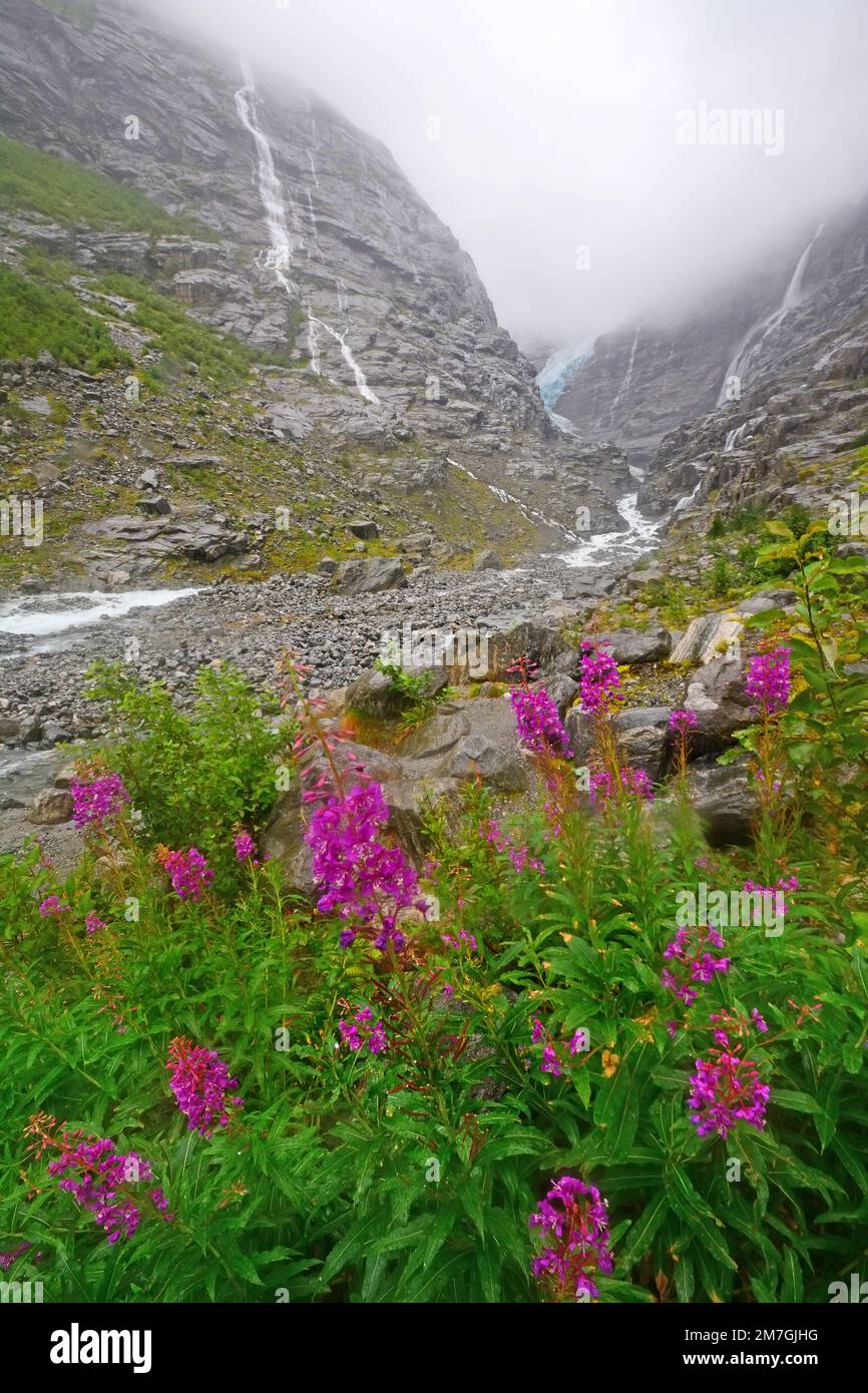 Regnerischer Canyon in Norwegen Stockfoto
