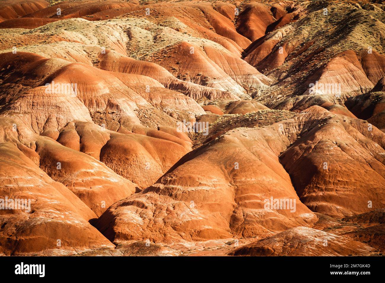 Petrified Forest Nationalpark Stockfoto